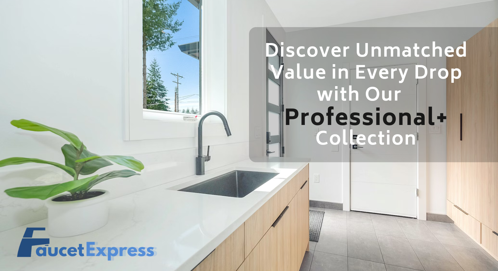 Discover Unmatched Value in Every Drop with Our Professional+ Collection