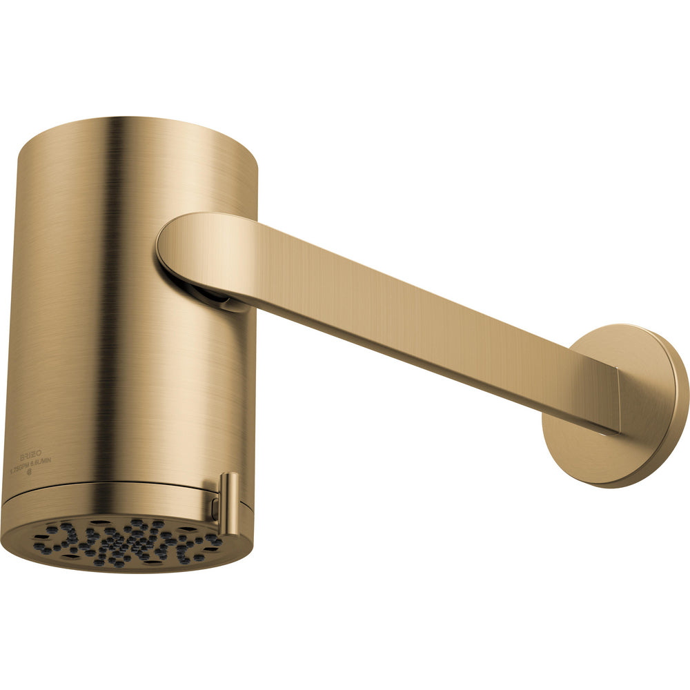 Brizo 873110-GL - Multi-Function Sconce Wall Mount Shower Head With Shower Arm And Flange