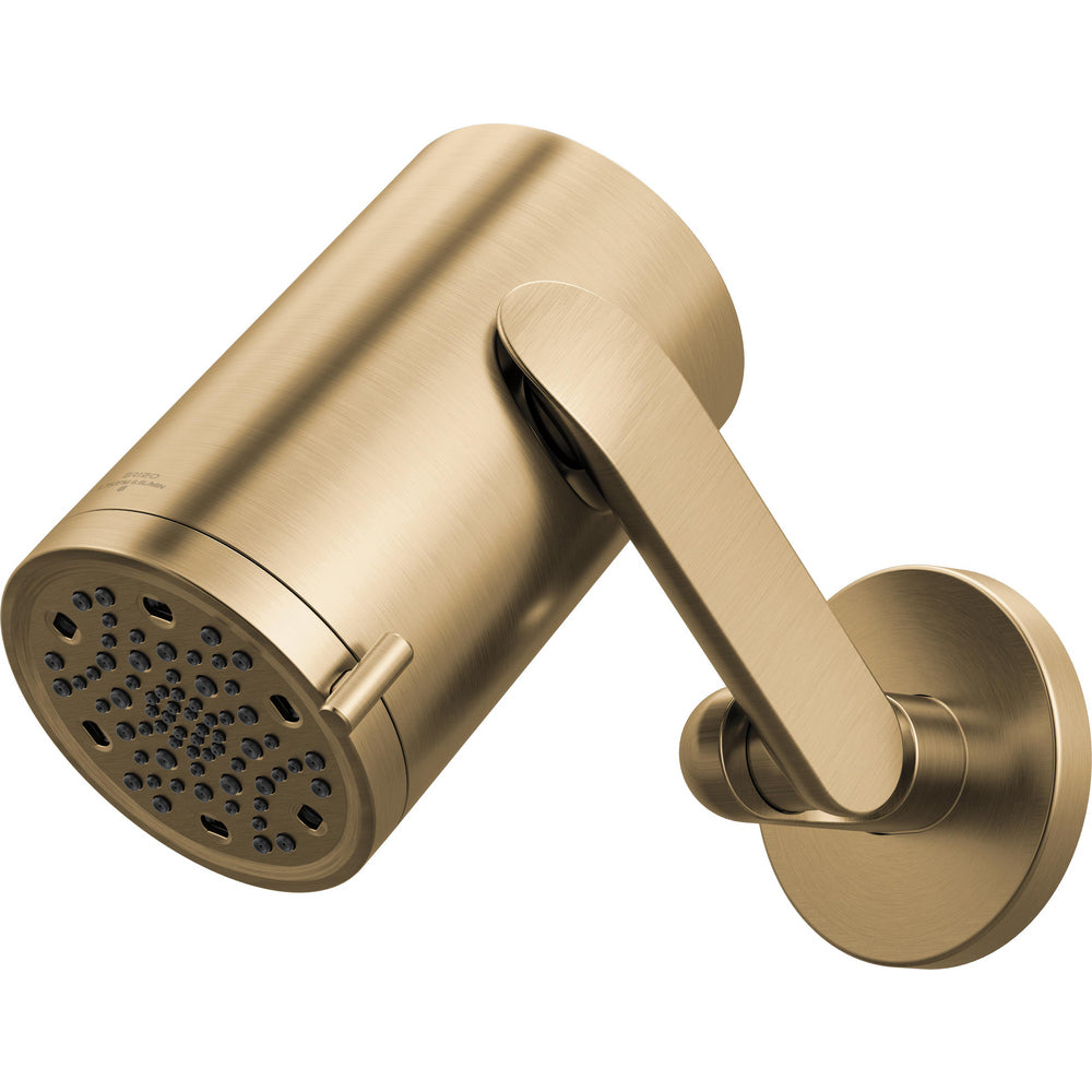 Brizo 873111-GL - Multi-Function Sconce Wall Mount Shower Head With Jointed Shower Arm And Flange