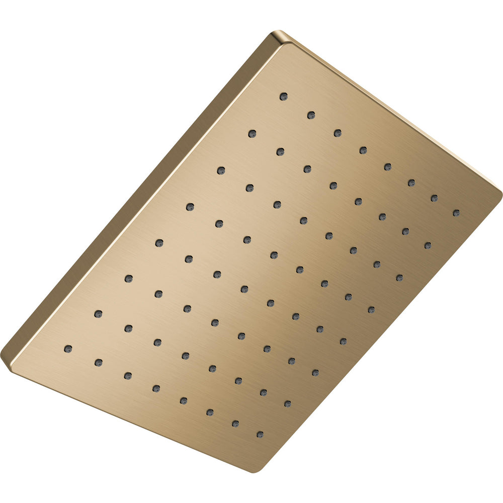 Delta RP103699CZ - Single Setting Raincan