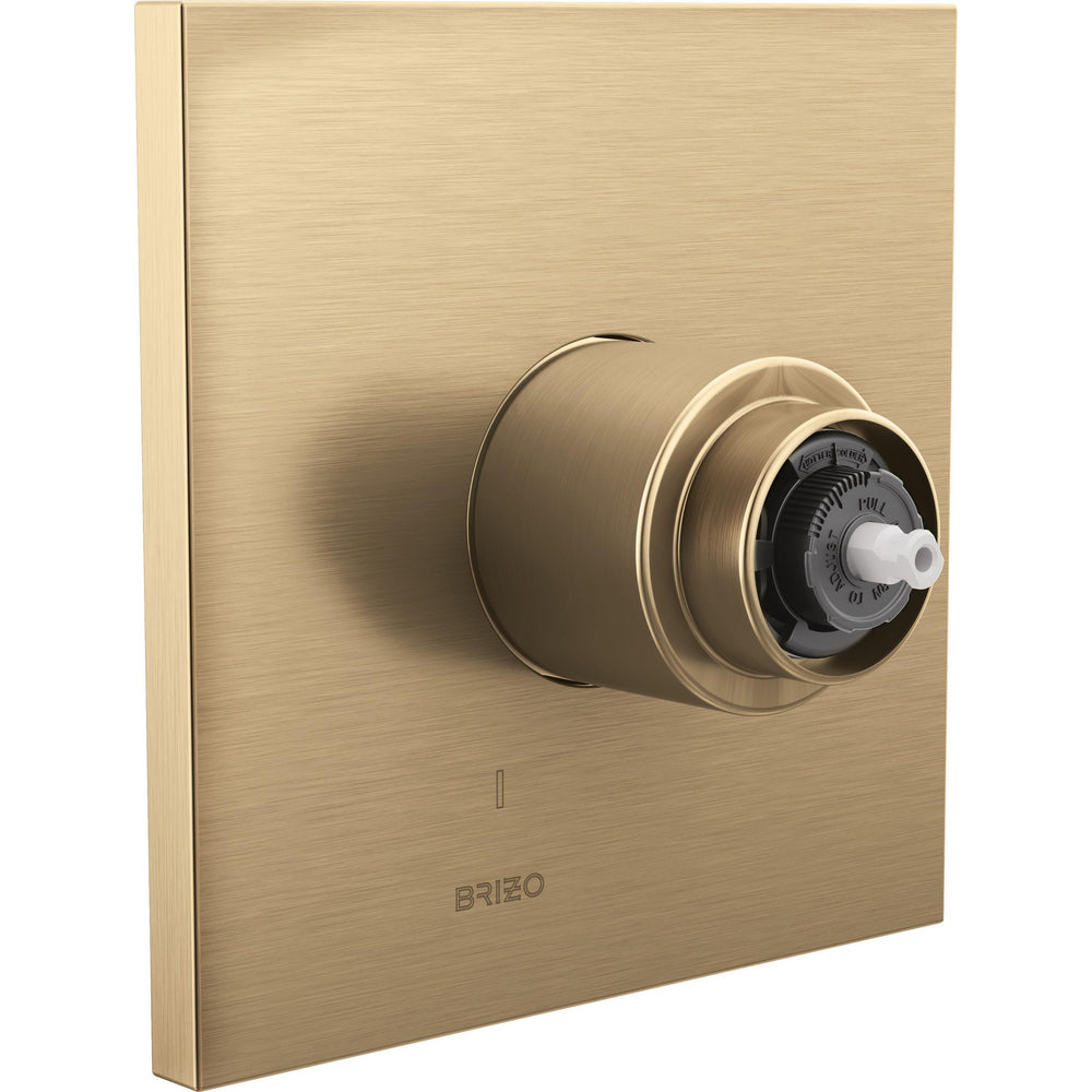 Brizo T60P022-GLLHP - Pressure Balance Valve Only Trim - Less Handle