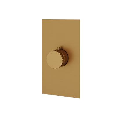 Aquabrass ABSTSR3034BGD - Sr3034 Tosca Trim Set - T12000 Valve