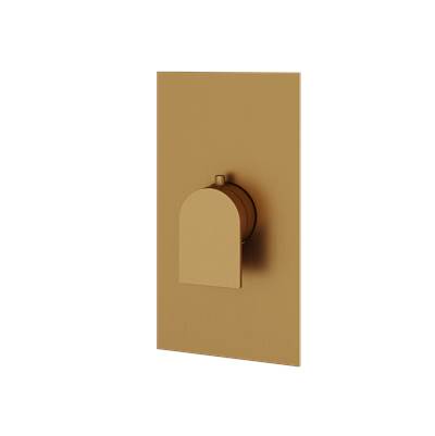 Aquabrass ABSTSR3092BGD - Sr3092 Alpha Trim Set - T12000 Valve