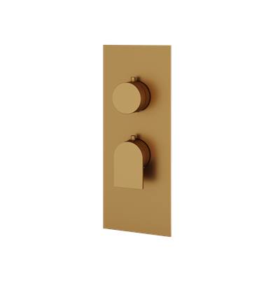 Aquabrass ABSTSR3192BGD - Sr3192 Alpha Trim Set - T12001 Valve