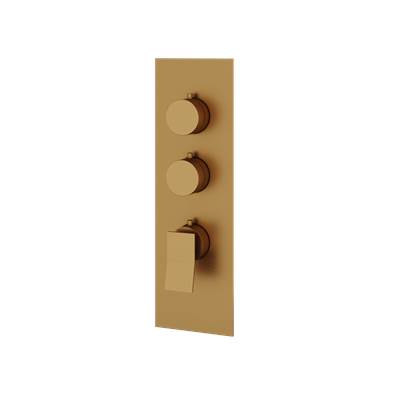 Aquabrass ABSTSR3219BGD - Sr3219 Chicane Trim Set - T12002 Valve