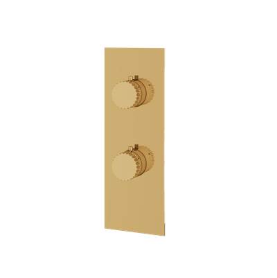 Aquabrass ABSTSR8234PGD - Sr8234 Tosca Trim Set 2Wy -T12123 Valve