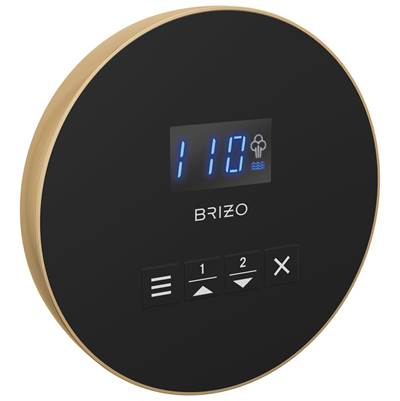 Brizo EP103315PGL - Round Steam Control