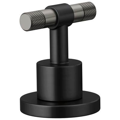 Brizo HL5333-BLSL-NM - Lavatory Handle Kit - T-Lever .