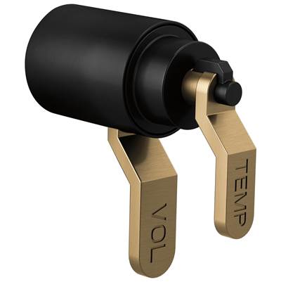 Brizo HL6034-BLGL - Tempassure Thermostatic Trim Handle Kit - Industrial Lever