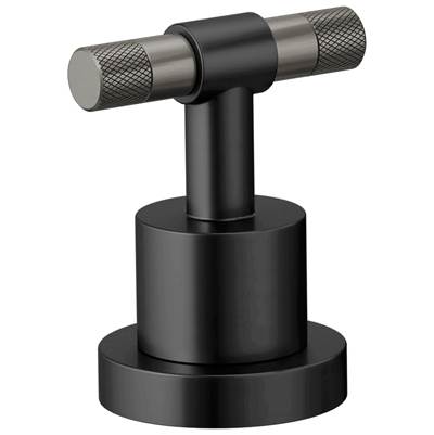 Brizo HL633-BLSL - Roman Tub Handle Kit - T-Lever.