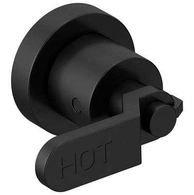 Brizo HL70434-BL - Two-Handle Wall Mount Tub Filler Handle Kit - Industrial Lev