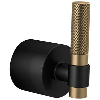 Brizo HL933-BLGL - 3 And 6 Setting Diverter Trim Handle Kit - T-Lever