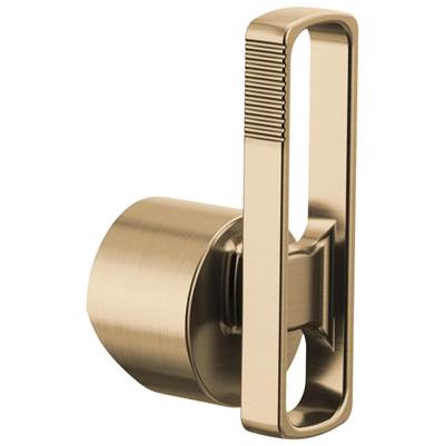 Brizo HLB007-GL-L - Void Handle - Bar