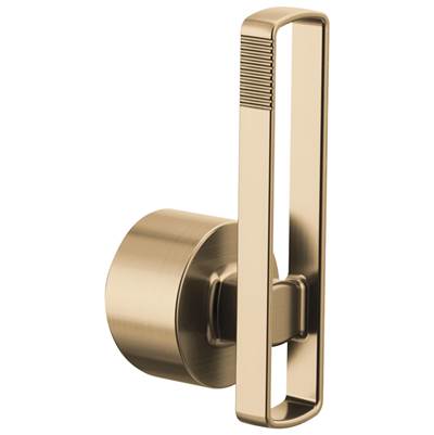 Brizo HLK007-GL-L - Void Handle