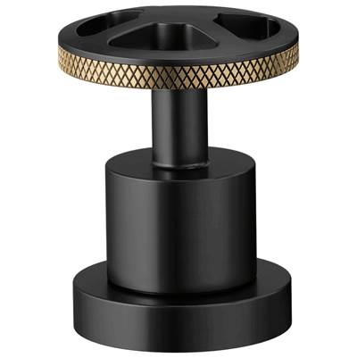 Brizo HW632-BLGL - Roman Tub Wheel Handle Kit