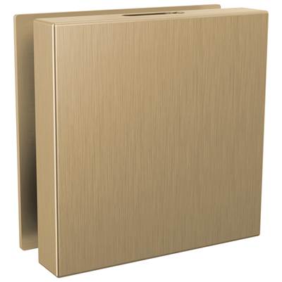 Brizo RP103312GLL - Square Steam Head