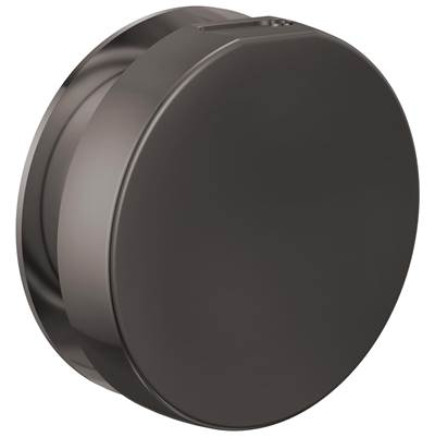 Brizo RP103313BNXL - Round Steam Head