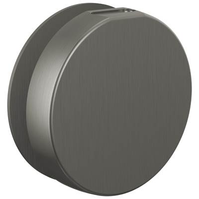 Brizo RP103313SLL - Round Steam Head