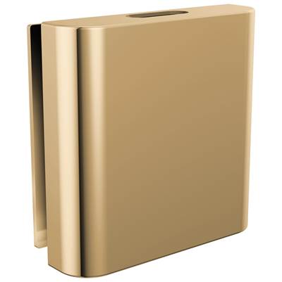 Brizo RP103316PGL - Square Steam Head