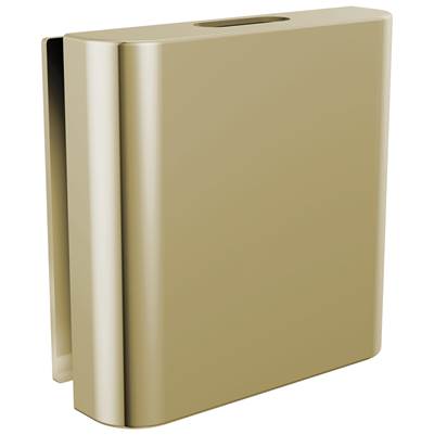 Brizo RP103316PNL - Square Steam Head