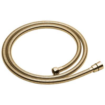 Brizo RP49645PG - Hose And Gaskets