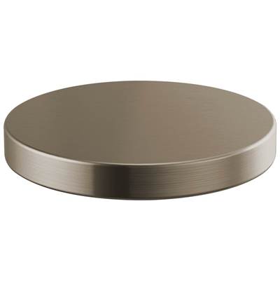 Brizo RP90934SS - Hole Cover