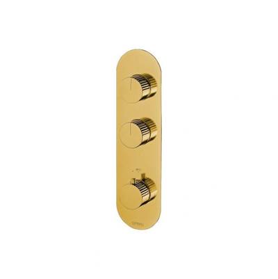 Carimali QTM4201ESTBG - Qtime 1/2'' Thermostatic 2-Shut-Off