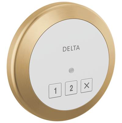 Delta 5CN-220R-CZ-PR - Steamscape Round Exterior Con Trol Champagne Bronze