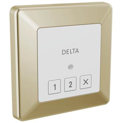Delta 5CN-220T-PN-PR - Steamscape Transitional Exter Ior Control Polished Nickel