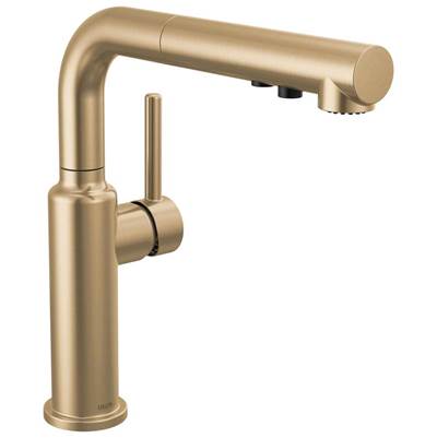 Delta 16879-CZ-DST - Daneri Pull-Out Kitchen Faucet Champagne Bronze