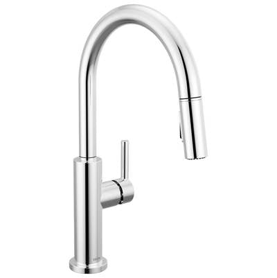 Delta 19867LF - Nicoli J Spout Chrome