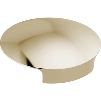 Delta RP101289PN - Metal Glass Rinser Cover