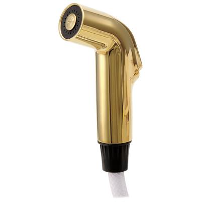 Delta RP39345PB - D/Ds Spray & Hose Assembly