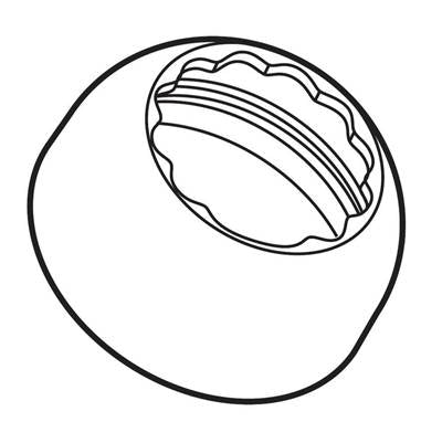 Delta RP51502AR - Bonnet Cap