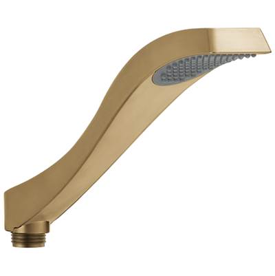 Delta RP52589CZ - Delta Dryden: Hand Shower Assembly