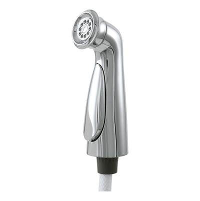 Delta RP72751 - Delta Cassidy: Spray And Hose Assembly