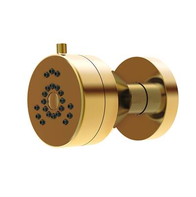 Gerber Plumbing D460258BB - Parma 2 Function Wall Mount Body Spray 1.5Gpm Brushed Bronze