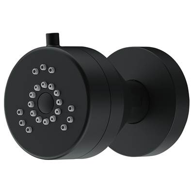 Gerber Plumbing D460258BS - Parma 2 Function Wall Mount Body Spray 1.5Gpm Satin Black
