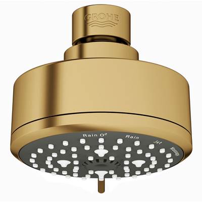 Grohe 26043GN1 - 100 Shower Head, 4 - 4 Sprays, 6.6 L/Min (1.75 Gpm)