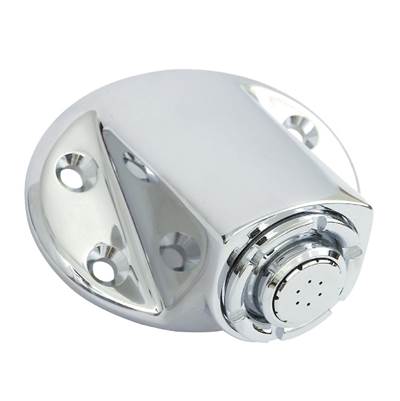 Moen 8290EP15 - Commercial One-Function Shower Head