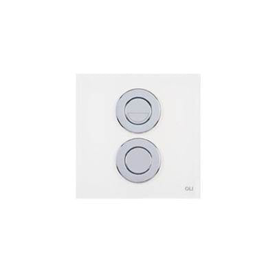OLI 022238 - Sm15 Flush Plate