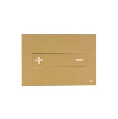 OLI 882412 - Oceania Flush Plate