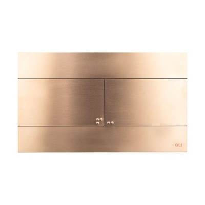 OLI 889312 - Slim Stainless Steel Flush Plate