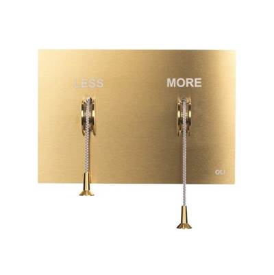 OLI 888573 - Less Is More Flush Plate