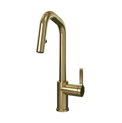 Rubi RLO91D2EROR - Loft Kitchen Faucet Round Body ''R'' Spout 2 Jets Hand Spray Gold