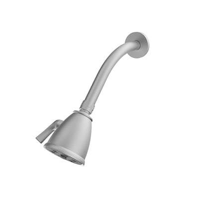 Santec 92791675 - Standard 6 Port Showerhead With Arm And Flange