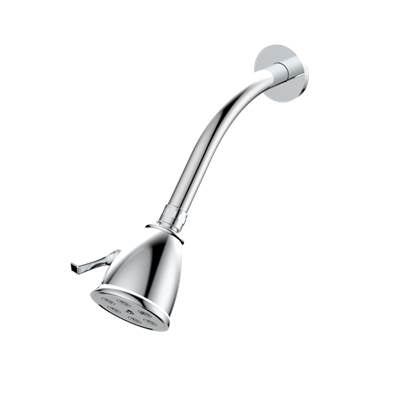 Santec 92791610 - Standard 6 Port Showerhead With Arm And Flange