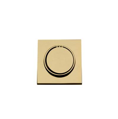 ThermaSol NTSM-PB - Notouch Modern Steamhead - Polished Brass