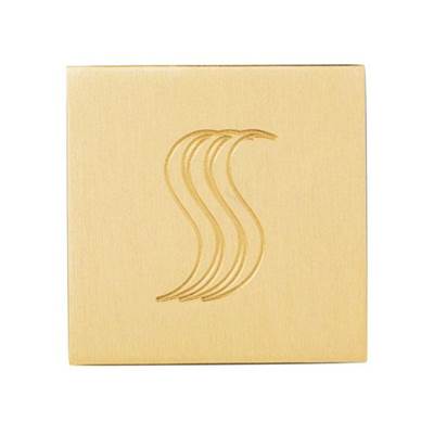 ThermaSol SVSQ-PG - Steamvection Steam Head Square