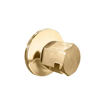 ThermaSol TSS-SB - Traditional 3/4'' Style Steam Head